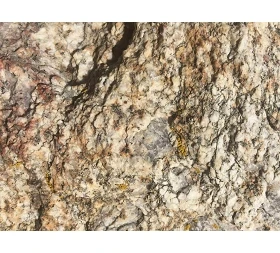 Com triar un bon granit